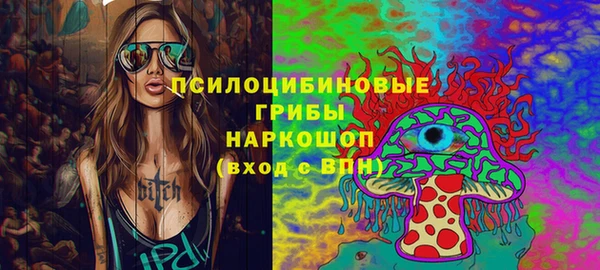ПСИЛОЦИБИНОВЫЕ ГРИБЫ Алзамай