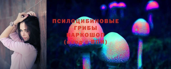 ПСИЛОЦИБИНОВЫЕ ГРИБЫ Алзамай