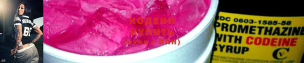 ПСИЛОЦИБИНОВЫЕ ГРИБЫ Алзамай