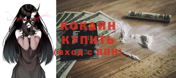 кокс Алексин